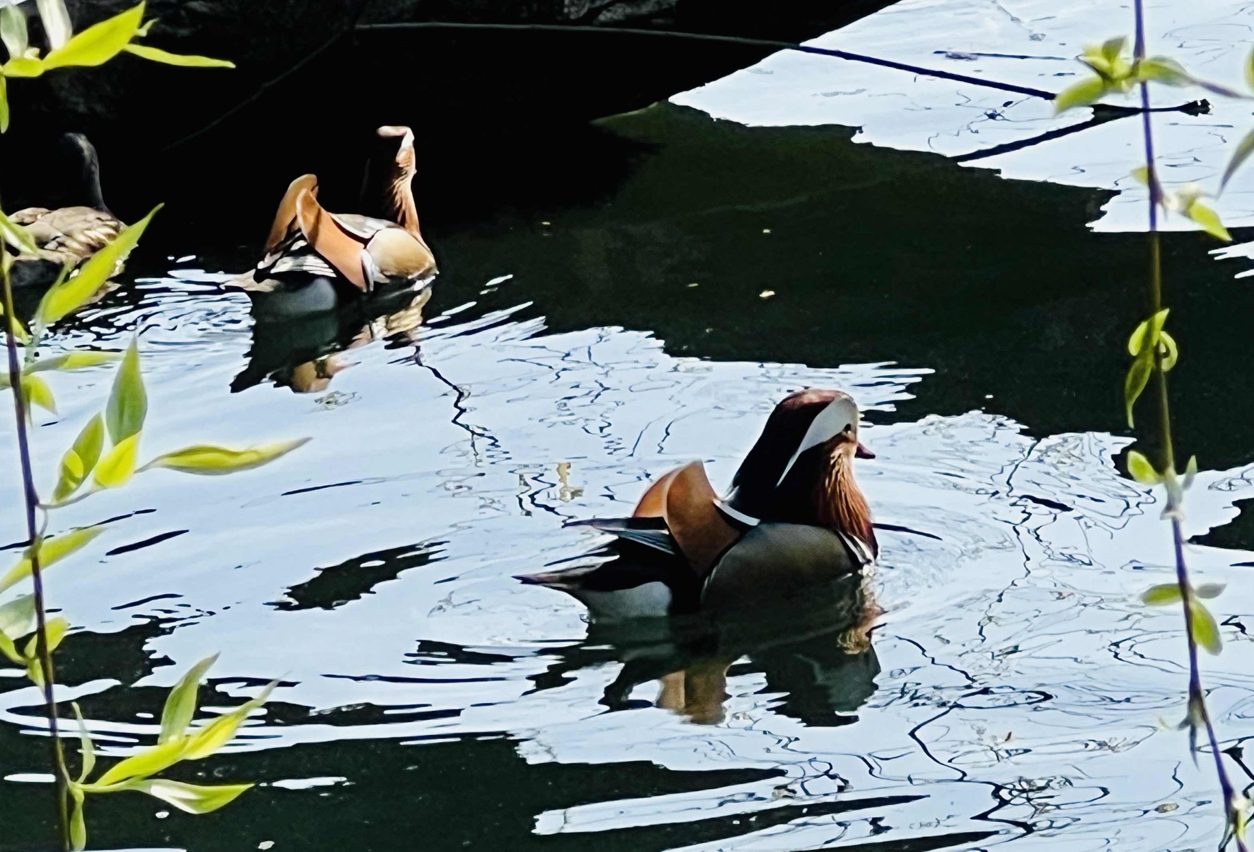 ⑧第3题_peng@微信_20250322_76430652256919_1