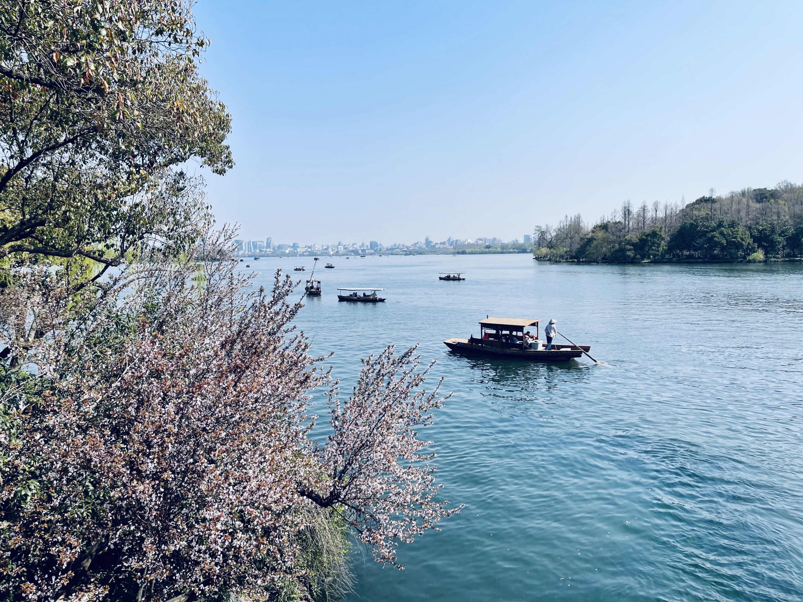 ⑰第3题_杭州总裁@微信_20250322_7643164345454_3